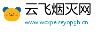 云飞烟灭网